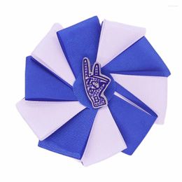 Brooches White Blue Silk Ribbon Flower Rhinestone Gesture Finer Hand Social Pin Sorority Zeta Brooch For Women