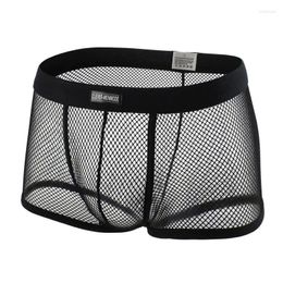 Underpants Sexy Mesh Boxer Men Underwear See Through Transparent Low Waist Nightwear Shorts Boxershorts