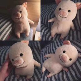 Plush Dolls 18-50cm Cartoon Cute Pig with Clothes Plush Toys Stuffed Piggy Doll Soft Baby Sleeping Pillow for Children Girls Birthday Gift H240521