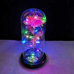 Decorative Objects Figurines Fairy string light with glass cover Led charming Milky Way rose thin flexible handmade plastic flower home decoration H240521 2BZX