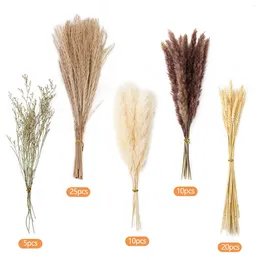 Decorative Flowers 70pcs DIY Craft Flower Bunch Long Lasting Tails Plant Stems Wedding Natural Dried Pampas Grass Wheat Dust Reed