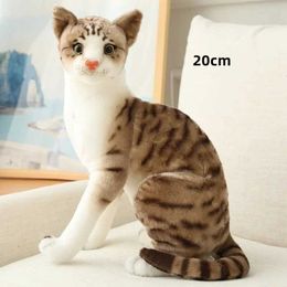 Plush Dolls 1 cute simulation cat Pelucci toy filled soft pet cat doll Cavai animal plush toy for childrens birthday decoration H240521 LLTB