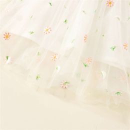 2023 Spring New Baby Little Daisy Long Sleeve Girl Princess Birthday Party Flower Embroidery Dress