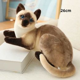 Plush Dolls 1 cute simulation cat Pelucci toy filled soft pet cat doll Cavai animal plush toy for childrens birthday decoration H240521 8N46