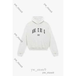 Hot Sale Hoodie Women Fashion Cotton Hooded Designer Hoodie New Classic Letter Print Wash Water Hoodie Colour Snowflake Sweatshirt Hoodies 888d