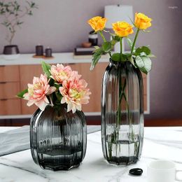 Vases Home Decoration Striped Flower Vase Modern Style Interior Desktop Ornament Transparent Hydroponic Flowerpot Glass Crafts Gift