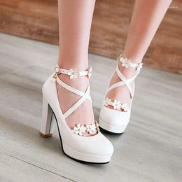 Dress Shoes Women High Heels Mary Jane Pumps Party Wedding Cosplay White Pink Black Fashion Flower Princess Lolita Size 33-43