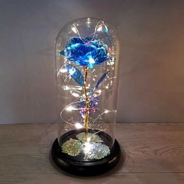 Decorative Objects Figurines Fairy string light with glass cover Led charming Milky Way rose thin flexible handmade plastic flower home decoration H240521 4ES5