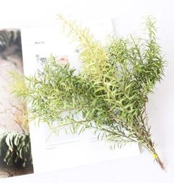 102Pcs Dried Forever Melaleuca Bracteata Natural Bundle Preserved Flowers Bouquet Decorative Eternal Grass For Home Decoration8839789