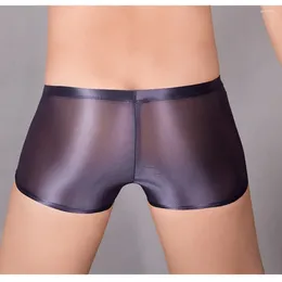 Underpants Boxers For Men Oil Shiny Glossy Sheer Underwear U Convex Pouch Panties Seamless Ultra Elastic Thin See-Through Trunks