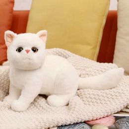 Plush Dolls 26cm filling lifespan cat plush toy simulation American short hair cute cat doll pet toy home decoration girl birthday gift H240521 FC0W