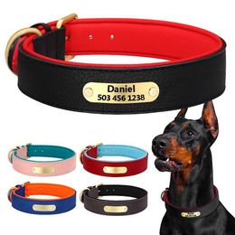 Dog Collars Leashes Custom Engraved Collar Leather Padded Dogs With Personalised ID Plate Tag 2 Layers For Small Large Pitbull H240522