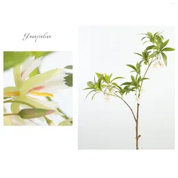 Decorative Flowers 3D Hainan Elaeocarpus Fake Plants With Artificial Greenery 5 Branches Long Stem Home Shop Office Party Wedding Decor