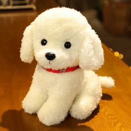 Plush Dolls Puppy Teddy Dog Filling Toy Simulates a dog as a toy for childrens companions a real stuffed Teddy dog plush animal home decoration H240521 POOX