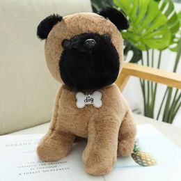 Plush Dolls Cute simulation of various dog plush toys exquisite small Kawaii two Ha dolls suitable for children and girlfriends as birthday gifts H240521 FYCR