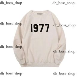 essentialsclothing Set Men Thick Style 24S Designer Hood Sweatshirt Loose essentialsshorts T Shirt Shorts Man Classic Casual Eur Size S-3Xl essentals hoodie 115