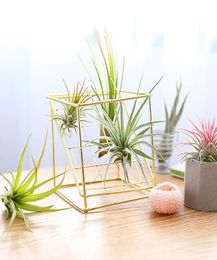 Rustic Delicate Iron standing Hanging Rack Holder Doublelayer Geometrical Square Grid Air Plant Receptacle Flower Stand7528477