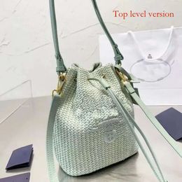 P designer bag brand Raffias Bag Woven Straw Bags Women Bucket Bag Nylon Shoulder Bags Hobos Laffia Grass Crochet Handbags Embroidery Letter Triangle Decor 776