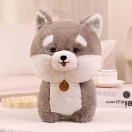 Plush Dolls Kawaii Fat Puppy Stuffed Toys Cute Simulation Husky Chow Bichon Frise Plush Toys Doll Kids Baby Birthday Gifts H240521 K7AC