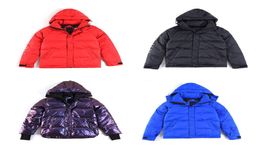 Factory directly sell thickend windproof warm winter down jacket loose men and women mutiple color puple chameleon winter jacket p4451469