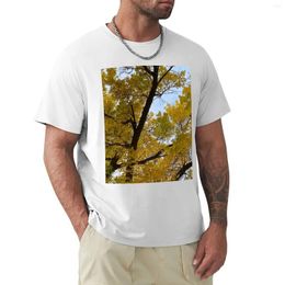 Men's Polos Fall Yellow T-Shirt Tees Blanks Boys Whites Big And Tall T Shirts For Men