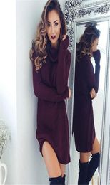 Turtleneck Long Sleeve Sweater Dress Women Autumn Winter Loose Tunic Knitted Casual Pink Grey Clothes Solid Dresses LJ2011126300629