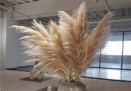 100pcs Wedding Flowers Pampas Grass Large Size Fluffy For Home Christmas Decor Natural Plants White Dried Flower Decorative Wrea9602429
