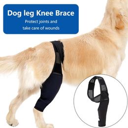 Dog Apparel Pet Knee Brace Support Injuries Leg Strap Protection For Dogs Joint Feet Cover Wrap Accessories