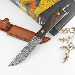 High Quality Damascus Fixed Hunting Knife Painted Wood Handle with PU Leather Sheath Kitchen Knife Outdoor Tacticals Self Defense Hunting Camping Knive 15600 15700