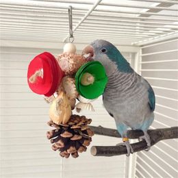Other Bird Supplies Colorful Parrot Molar Toy Promotes Beaks Maintenance And Provide Funny Hangable For Indoor Cage Grinding