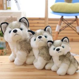 Plush Dolls 1pc 18/23/28cm Kawaii Simulation Husky Dog Plush Toy Stuffed Soft Plush Animal Dog Doll Cute Funny Gifts for Children Boy Girl H240521