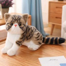 Plush Dolls 26cm filling lifespan cat plush toy simulation American short hair cute cat doll pet toy home decoration girl birthday gift H240521 D8GE