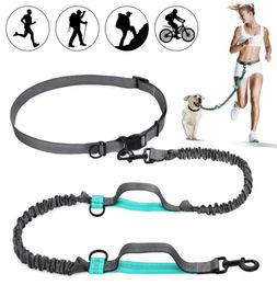 Retractable Hands Dog Leash with Dual Bungees for Dogs up to 150lbs Adjustable Waist Belt Reflective Stitching Leash for Ru6932250