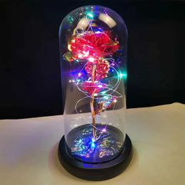 Decorative Objects Figurines Fairy string light with glass cover Led charming Milky Way rose thin flexible handmade plastic flower home decoration H240521 2V9C