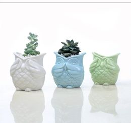 Cute succulent pot owl small ceramic flower planter glazed bonsai plant bulk desk home garden decoration7874679