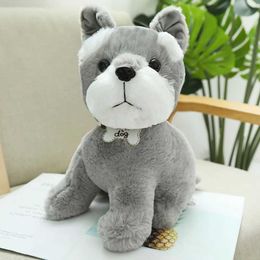 Plush Dolls Cute simulation of various dog plush toys exquisite small Kawaii two Ha dolls suitable for children and girlfriends as birthday gifts H240521 VPIA