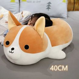 Plush Dolls 1 cute chubby Shiba Inu Organi dog plush toy filled with soft Kawaii animal cartoon pillow doll as a childrens gift H240521 92SN