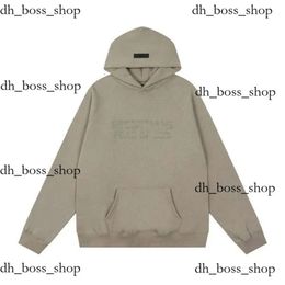 fear of ess Designer Mens Hooded 1977 Hoodie Printed Letter Pullover Sweatshirts Fashion Classic Hoodie Essentialsclothing Couples essentialsshorts 883