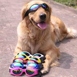 Dog Apparel 2024 Fashion Pet Sunglasses Cute Cat Glasses For Small Dogs Poodle Yorkshire Accessories Supplies Travel Toy
