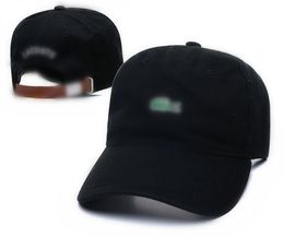 Luxury hat designer women's and men's Baseball cap Fashion Baseball cap popular jacquard neutral fishing outdoor cap Beanies L-21
