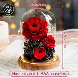 Decorative Objects Figurines Roses preserved in the glass dome eternal natural flowers love wedding gifts Valentines Day bears H240521 ME1Y