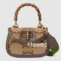 Latest Mini Bamboo Bag Evening Bags Diana Camel Colour Fashion Handbag High quality Ladies Practical Versatile Striped Webbing Wide Shoulder Strap Designer bags