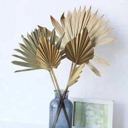 Decorative Flowers 1PC Mini Palm Fan Leaf Dried Flower Leaves Pampas Grasses Branches Diy Wedding Decorations Home Decor Craft