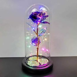 Decorative Objects Figurines Fairy string light with glass cover Led charming Milky Way rose thin flexible handmade plastic flower home decoration H240521 WV33