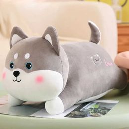 Plush Dolls 50cm/60cm Lifelike Animal Husky Alaskan Malamute Dog Lovely Soft Stuffed Doll Cute Plush Toy Kid Boy Girl Birthday Gift H240521 Y20D