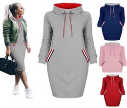 Autumn Winter New Fashion Womens Ladies Long Sleeve Slim bodycon Casual Pullover Long Dress 6 Colors 6 Size8260688