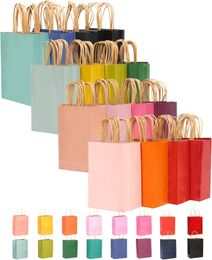 32 Packs Paper Bags with Handles Bulk Small Gift Bags 16 Different Senior Colour Bags Multiple Uses