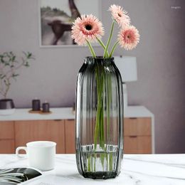 Vases Home Decoration Striped Flower Vase Modern Simple Living Room Tabletop Ornament Transparent Hydroponic Flowerpot Glass Crafts