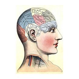 1914 Phrenology Head Vintage Style Medical Science Poster Canvas Print