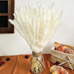 Decorative Flowers Neutral Dried Pompas Grass For Western Modern Boho Home Bedroom Table Bathroom Wedding Arrangement Baby Shower Decor